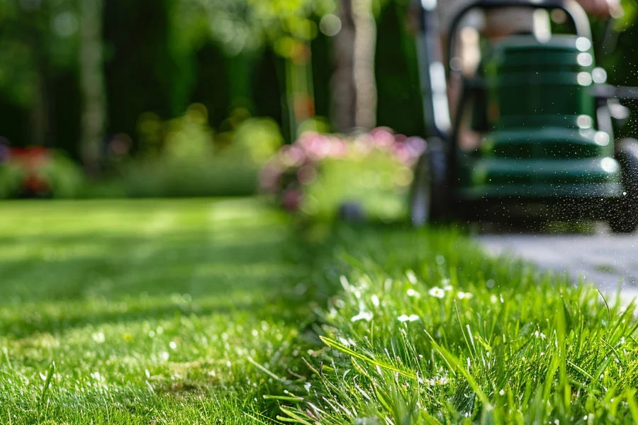 best electric mower